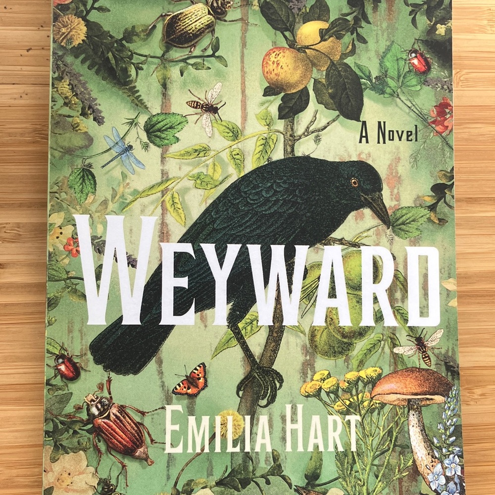 Weyward by Emilia Hart Novel